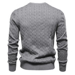 Falkner | Strickmodern Vyrų megztinis